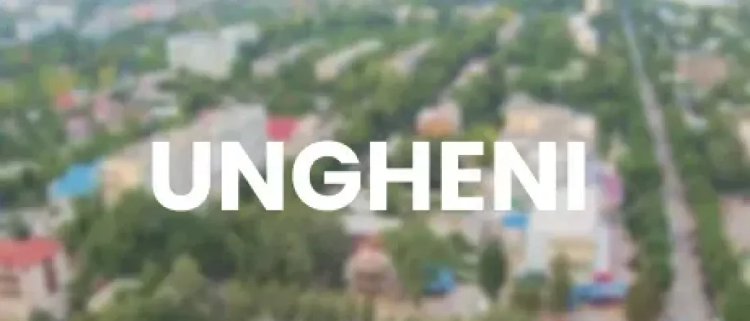 FERESTRE UNGHENI